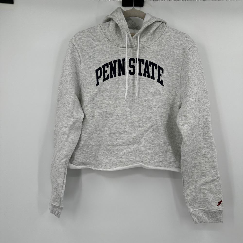 League Penn State Nittany Lions Cropped Hoodie Grey Womens Large NCAA Gameday